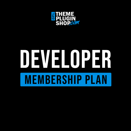 Developer Plan Developer Plan